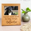 904 Custom Personalized Forever Could Never Be Long Enough Pet Memorial Engraved Picture Frame