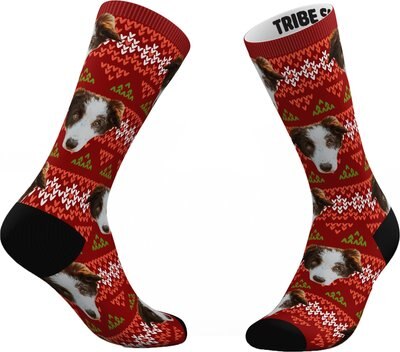 Tribe Socks Personalized Ugly Sweater Pet Face Socks, slide 1 of 1