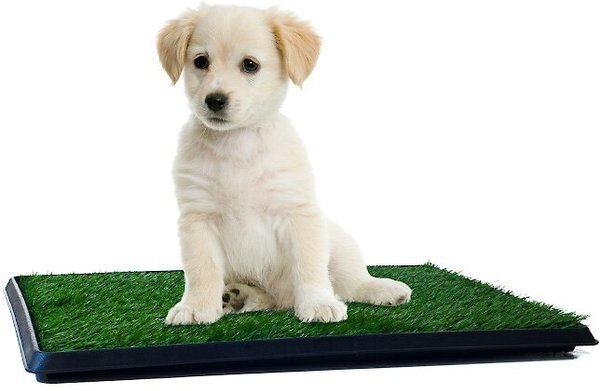 Pet Adobe Puppy Faux Grass Potty Trainer Mat slide 1 of 3