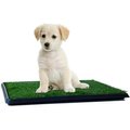Pet Adobe Puppy Faux Grass Potty Trainer Mat