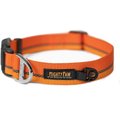 Mighty Paw Standard Reflective Colorblast Dog Collar, Orange, Small
