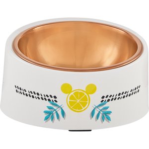 Disney Mickey Mouse Lemons Slanted Elevated Stainless Steel Dog & Cat Bowl, 1.75 cups