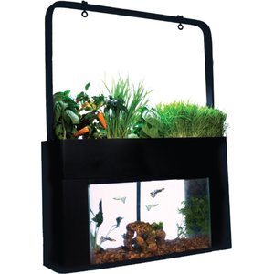 AquaSprouts Garden Self-Sustaining Desktop Aquarium Aquaponics Ecosystem, 10-gal