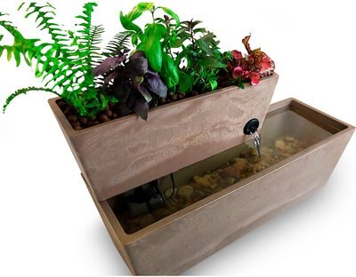 AquaSprouts Fountain Aquaponics Ecosystem Kit, Taupe, 6-gal, slide 1 of 1