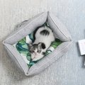 PETKIT Reversible Cooling & Warming Bolster Cat & Dog Bed, Small