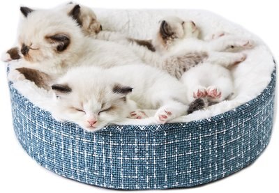 PETKIT Deep Sleep Bolster Cat Bed, slide 1 of 1