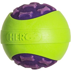 HeroDog Outer Armor Ball Dog Toy, Purple, Large