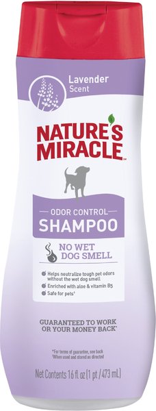 Nature’s Miracle Odor Control Dog Shampoo, Lavender Scent, 16-oz bottle slide 1 of 7