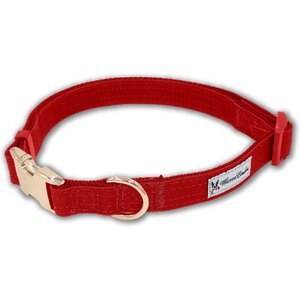 Hand Made Dog Collar by Oh My Paw'd Cinco De Mayo Collar for Pets Size Extra Small 5/8 Inch Wide and 9-12 Inches Long