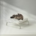 Weelywally Montreal Pillow Modern Elevated Cat & Dog Bed, White