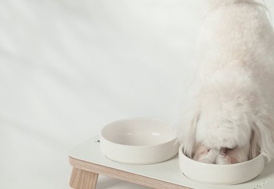 Weelywally Toscana Double Ceramic Dog & Cat Bowl, slide 1 of 1