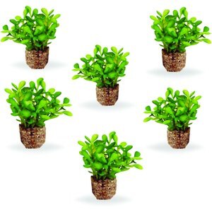 Current USA Weighted Base Button Leaf Aquarium Plant, 6 count, Light Green