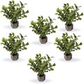 Current USA Weighted Base Button Leaf Aquarium Plant, 6 count, Dark Green