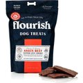 Flourish Human Grade Rough Cut Angus Beef Jerky Dog Treats, 1-lb bag