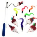 Pet Fit For Life 10 Piece Dual Rod Wand Cat Toy