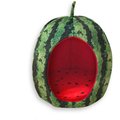 YML Watermelon Cat & Dog Bed, Green & Red, Small