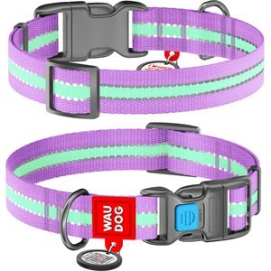 WAUDOG Glow in the Dark QR Passport Nylon Standard Dog Collar, Purple, Small: 9 1/8 to 13 3/4-in neck, 5/8-in wide