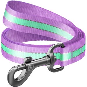 WAUDOG Glow in the Dark Nylon Dog Leash, Purple, Small: 4-ft long, 5/8-in wide
