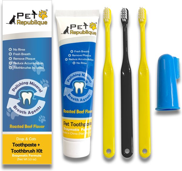 Pet Republique Enzymatic Toothpaste Kit with Handle Toothbrushes Beef Flavor for Dogs & Cats, 3.5-oz slide 1 of 5