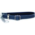 Euro-Dog Luxury Leather Martingale Dog Collar, Navy, X-Small