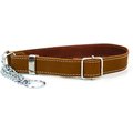 Euro-Dog Luxury Leather Martingale Dog Collar, Bark Brown, Large