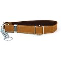 Euro-Dog Luxury Leather Martingale Dog Collar, Tan, Medium