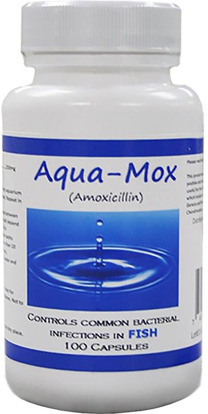 Midland Vet Services Aqua-Mox Amoxicillin Fish Antibiotic, 100 count slide 1 of 1