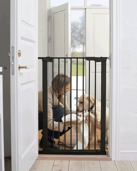 Scandinavian Pet Premier Extra Tall Pressure Fit Dog Gate, Black slide 1 of 4
