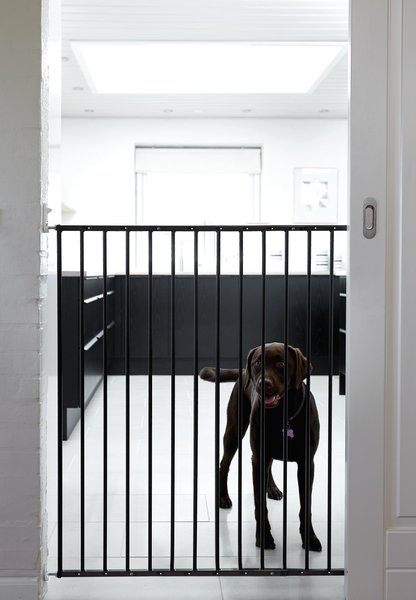 Scandinavian Pet Streamline Extra Tall Wall Mounted Dog Gate, Black slide 1 of 7