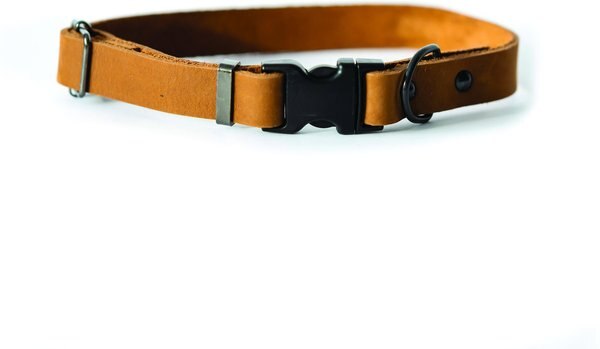 Euro-Dog Sport Style Luxury Leather Dog Collar, Bark Brown, Large slide 1 of 7