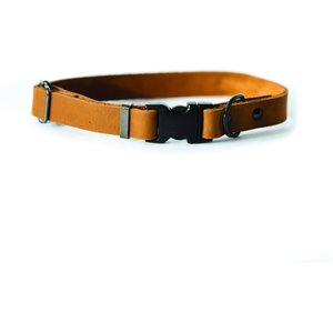 Euro-Dog Sport Style Luxury Leather Dog Collar, Bark Brown, Medium
