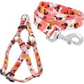 Disney Minnie Mouse Floral Harness, L - Girth: 22 - 38-in, Width: 1-in + Dog Leash, LG - Length: 6-ft, Width: 1-in