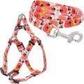 Disney Minnie Mouse Floral Harness, S - Girth: 16- 24-in, Width: 5/8-in + Dog Leash, SM - Length: 6-ft, Width: 5/8-in