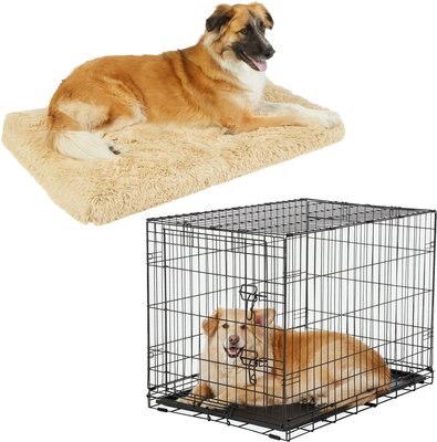 Frisco Eyelash Orthopedic Crate Mat, Sand, 36-in + Fold & Carry Single Door Collapsible Wire Dog Crate, 36 inch, slide 1 of 1