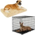 Frisco Eyelash Orthopedic Crate Mat, Sand, 42-in + Fold & Carry Single Door Collapsible Wire Dog Crate, 42 inch