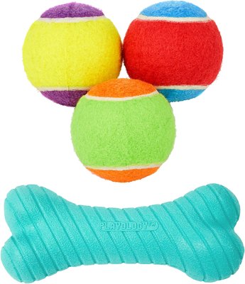 Frisco Fetch Squeaking Colorful Tennis Ball, 3-Pack + Playology All Natural Dual Layer Bone Dog Toy, Large, Peanut Butter Scented, slide 1 of 1