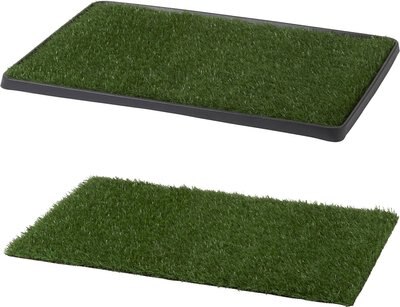 Frisco Indoor Grass Potty, 30 x 20 in + Replacement Pad, 19 x 29 in, slide 1 of 1