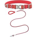 Frisco Outdoor Comfort Print Nylon Padded Collar, Large, Neck: 18 -26-in, Width: 1-in + Outdoor Ultra Reflective Rope Leash With Padded Handle, Sunset Orange, 6 - ft