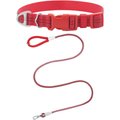 Frisco Outdoor Frisco Nylon Collar, Flamepoint Orange, Medium-Neck: 14-20-in, Width: 3/4-in + Rope Leash With Padded Handle, Sunset Orange, 6-ft