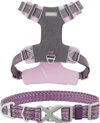Frisco Outdoor Lightweight Ripstop Nylon Harness, Shadow Purple, Medium, Neck: 15 to 23-in, Girth, 20 to 28-in + Heathered Nylon Collar, Shadow Purple, Medium - Neck: 14-20-in, Width: 3/4-in, slide 1 of 1