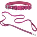 Frisco Outdoor Nylon Reflective Comfort Padded Collar, Boysenberry Purple, Large, Neck: 18 -26-in, Width: 1-in + Dog Leash, Boysenberry Purple, Large - Length: 6-ft, Width: 1-in