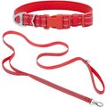 Frisco Outdoor Nylon Reflective Comfort Padded Collar, Sunset Orange, Large, Neck: 18 -26-in, Width: 1-in + Dog Leash, Sunset Orange, Large - Length: 6-ft, Width: 1-in