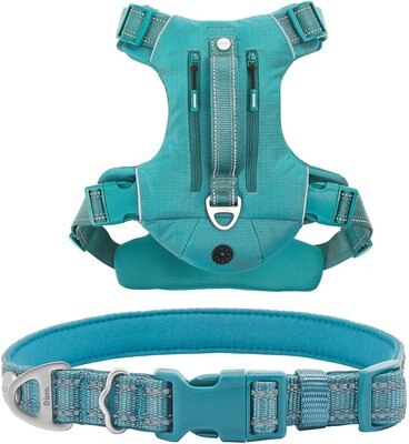 Frisco Outdoor Premium Ripstop Nylon Harness with Pocket, Bayou Teal, Extra Large, Neck: 22 to 34-in, Girth: 32 to 44-in + Reflective Comfort Padded Dog Collar, Bayou Teal, Large, Neck: 18 -26-in, Width: 1-in, slide 1 of 1