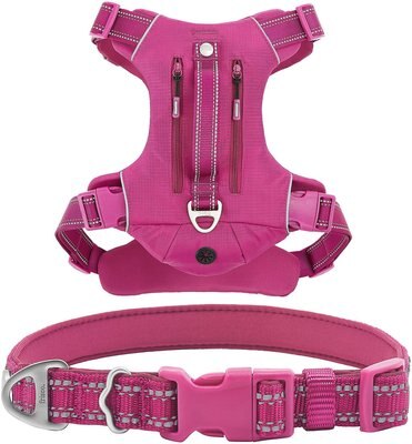 Frisco Outdoor Premium Ripstop Nylon Harness with Pocket, Boysenberry Purple, Extra Large, Neck: 22 to 34-in, Girth: 32 to 44-in + Reflective Comfort Padded Dog Collar, Boysenberry Purple, Large, Neck: 18 -26-in, Width: 1-in, slide 1 of 1