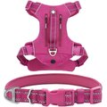 Frisco Outdoor Premium Ripstop Nylon Harness with Pocket, Boysenberry Purple, Extra Large, Neck: 22 to 34-in, Girth: 32 to 44-in + Reflective Comfort Padded Dog Collar, Boysenberry Purple, Large, Neck: 18 -26-in, Width: 1-in