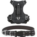 Frisco Outdoor Premium Ripstop Nylon Harness with Pocket, Midnight Black, L - Girth: 24-34-in + Reflective Comfort Padded Dog Collar, Midnight Black, LG, Neck: 18 -26-in, Width: 1-in