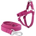 Frisco Outdoor Solid Textured Waterproof Stink Proof PVC Harness, Boysenberry Purple, Small, Neck: 14 to 19-in, Girth: 16 to 23-in + Dog Leash, Boysenberry Purple, Small - Length: 6-ft, Width: 5/8-in