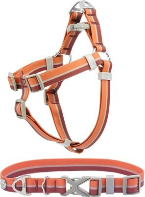 Frisco Outdoor Two Tone Waterproof Stinkproof PVC Harness, Flamepoint Orange, Large, Neck: 19 to 27-in, Girth: 23 to 36-in + Dog Collar, Flamepoint Orange, Large, Neck: 18 ½- 26-in, Width: 1-in, slide 1 of 1