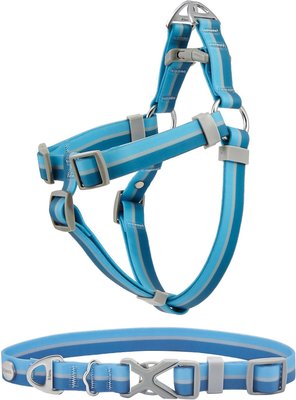 Frisco Outdoor Two Tone Waterproof Stinkproof PVC Harness, River Blue, Medium, Neck: 16 to 22-in, Girth: 19 to 29-in + Dog Collar, River Blue, Medium - Neck: 14½-20-in, Width: 3/4-in, slide 1 of 1