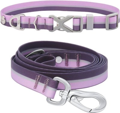 Frisco Outdoor Two Toned Waterproof Stink Proof PVC Collar, Boysenberry Purple, Large, Neck: 18 ½ 26-in, Width: 1-in + Dog Leash, Boysenberry Purple, Large - Length: 6-ft, Width: 1-in, slide 1 of 1